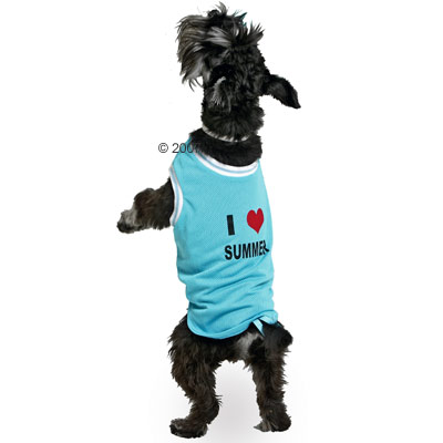 Hundeshirt Summer blau - Gr��e 32 cm
