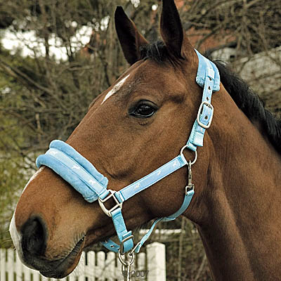 USG Halfter Soft f�r Pferde - Warmblut, marine