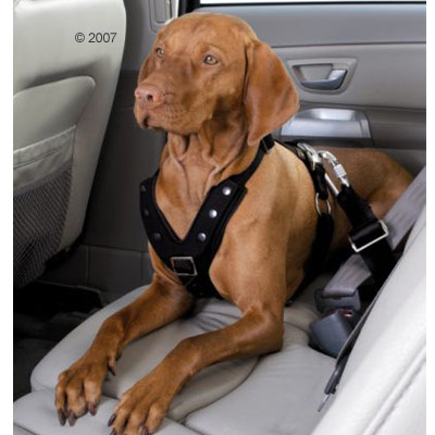 Hunter Autosicherheitsgeschirr Easy Comfort - Gr��e M: Bauchumfang 50 - 65 cm