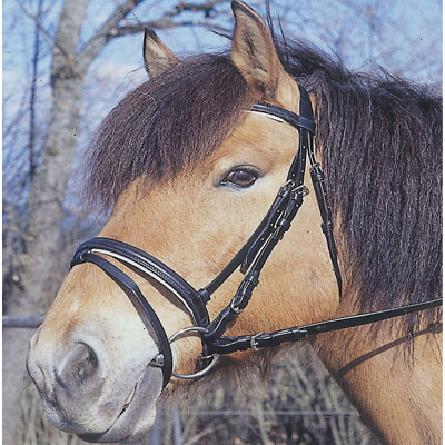 Zaumzeug ''Standard'' mit Z�geln f�r Ponys