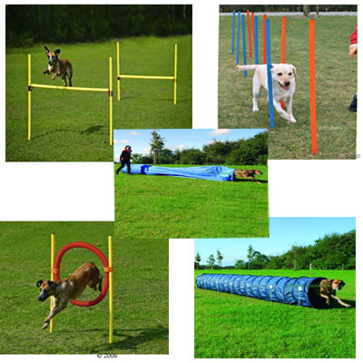 Agility Komplett-Set - Sparpaket mit 5 Einzelelementen