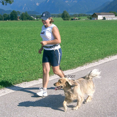 Mehr Infos zu ACTIVE LEADER Spiralleine mit H�ftgurt - 50 bis 250 cm lang