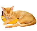 Katzenspielzeug Fröhliche Catnip-Banane