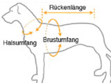 Hundecape Größenskizze