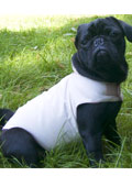 Hundecape mit Kragen Mops