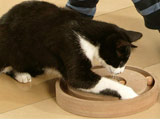Katzenspielzeug Kitty Brain Train