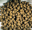 Kroketten