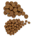 Kroketten