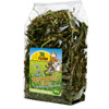 JR Farm Rauhfutter Spitzwegerich