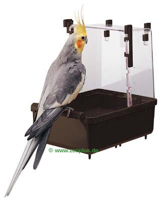 Gro�sittich Vogelbad -