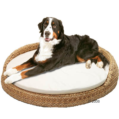 Mehr Infos zu Banana Leaf Hundesofa Rund - � 108 x H 22 cm