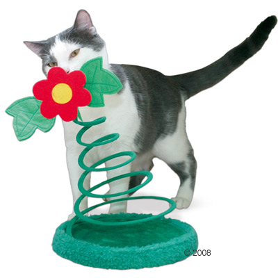 Katzenspielzeug Flowerpower - Ø 25 cm