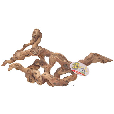 Sandgestrahltes Rebholz - 50 - 70 cm
