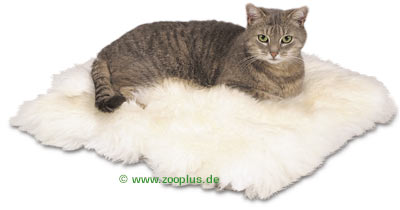 Schaf-Fell Kissen - 45 x 45 cm