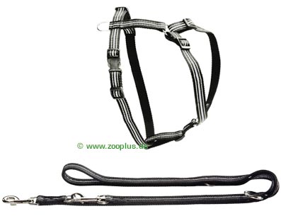 Hunter-Set Führleine und Geschirr Flashlight - Leine Geschirr G