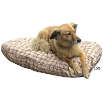 Mehr Infos zu Dinkelkissen sand kariert - Ma�e: L 80 x B 50 x H 15 cm