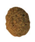 Kroketten