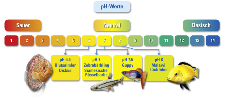 Tetra Wasserpflege Ratgeber