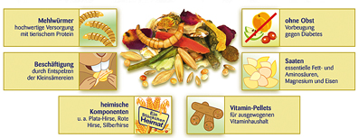 Pictogramm_Zwerghamstertraum