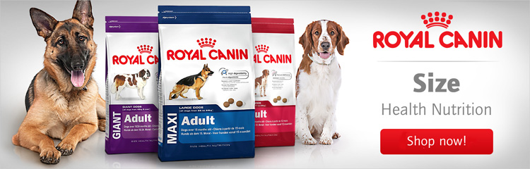 Cat Food Cheap Wet Or Expensive Dry Cat Food Cheap Wet Or Expensive Dry
