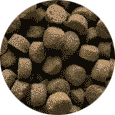 croquettes
