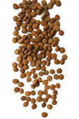 Kroketten