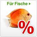 Sonderangebote Aqua