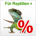 Sonderangebote Terraristik