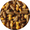 croquette pour chien