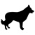 dog icon