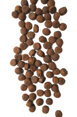 Kroketten