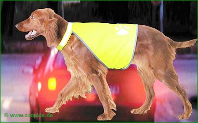 Safety-Dog Sicherheitsweste - Größe S
