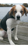 Dog Cape with Collar - Black/Pink
