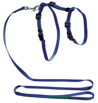 Hunter Junghundegarnitur Nylon - schwarz