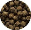 croquettes