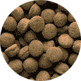 croquettes