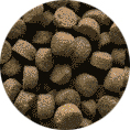 croquettes