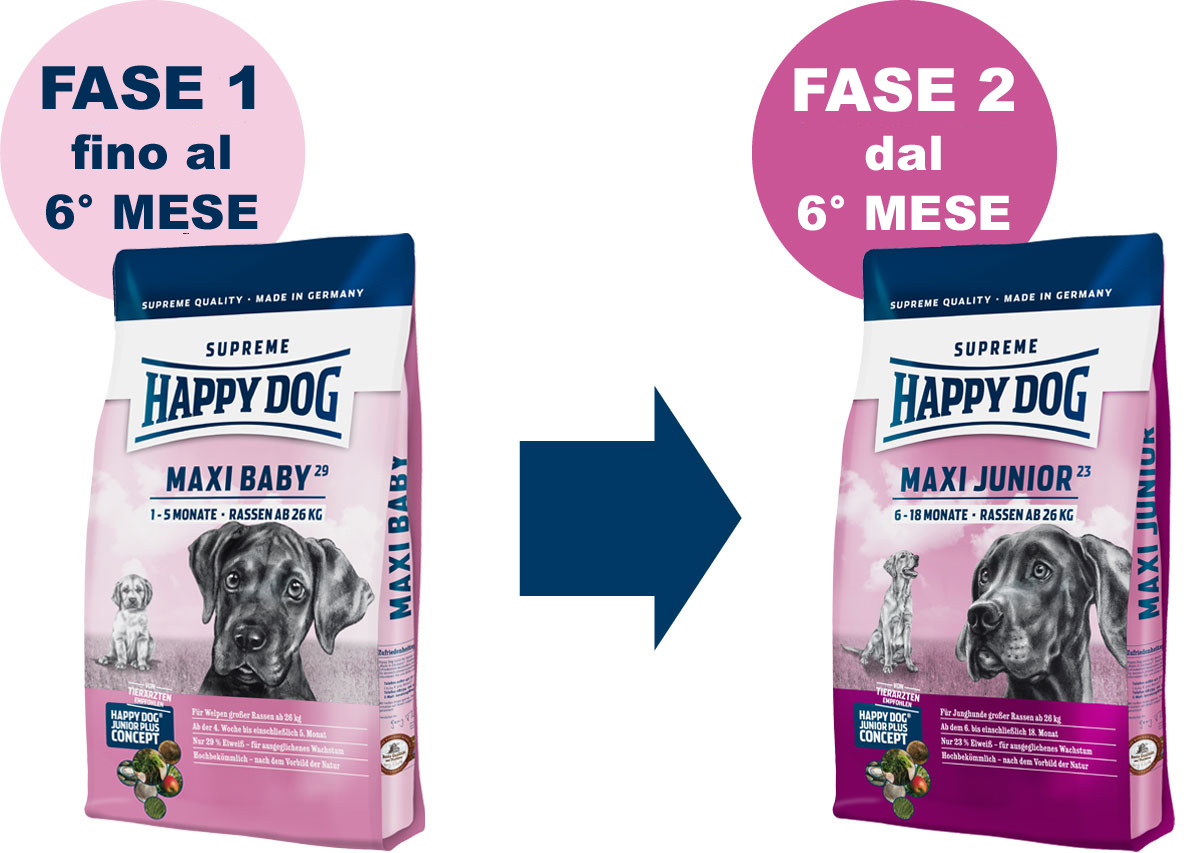 Phasenlogo Happy Dog Puppy und Junior