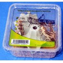 Wanderheuschrecke gro� Lebendfutter - - 1 Karton, ca. 100 St�ck 30262.1