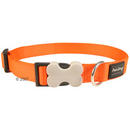 Red Dingo Hundehalsband Orange - - Gr��e L: 25 mm x 40-60 cm