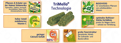 Pictogramm_Meerscheinchentraum_kraeuter