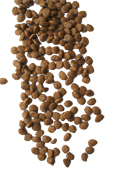 Kroketten