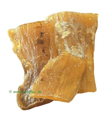 Rindernackensehnen - 500 g
