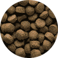 croquettes