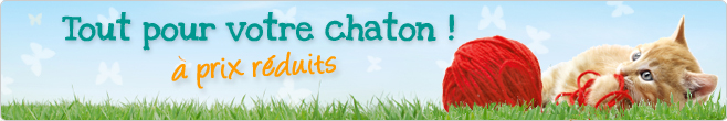 Tout pour votre chaton
