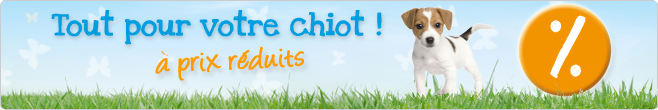 Tout pour votre chiot