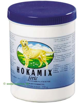 Mehr Infos zu Hokamix Pulver Forte - 300 g