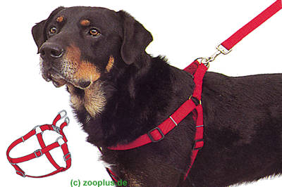 Bernina Trekking Geschirr Schwarz - Sch�ferhund-Gr��e