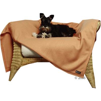 Cosy Liegedecke - Beige