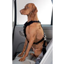 Hundegeschirr Easy Comfort